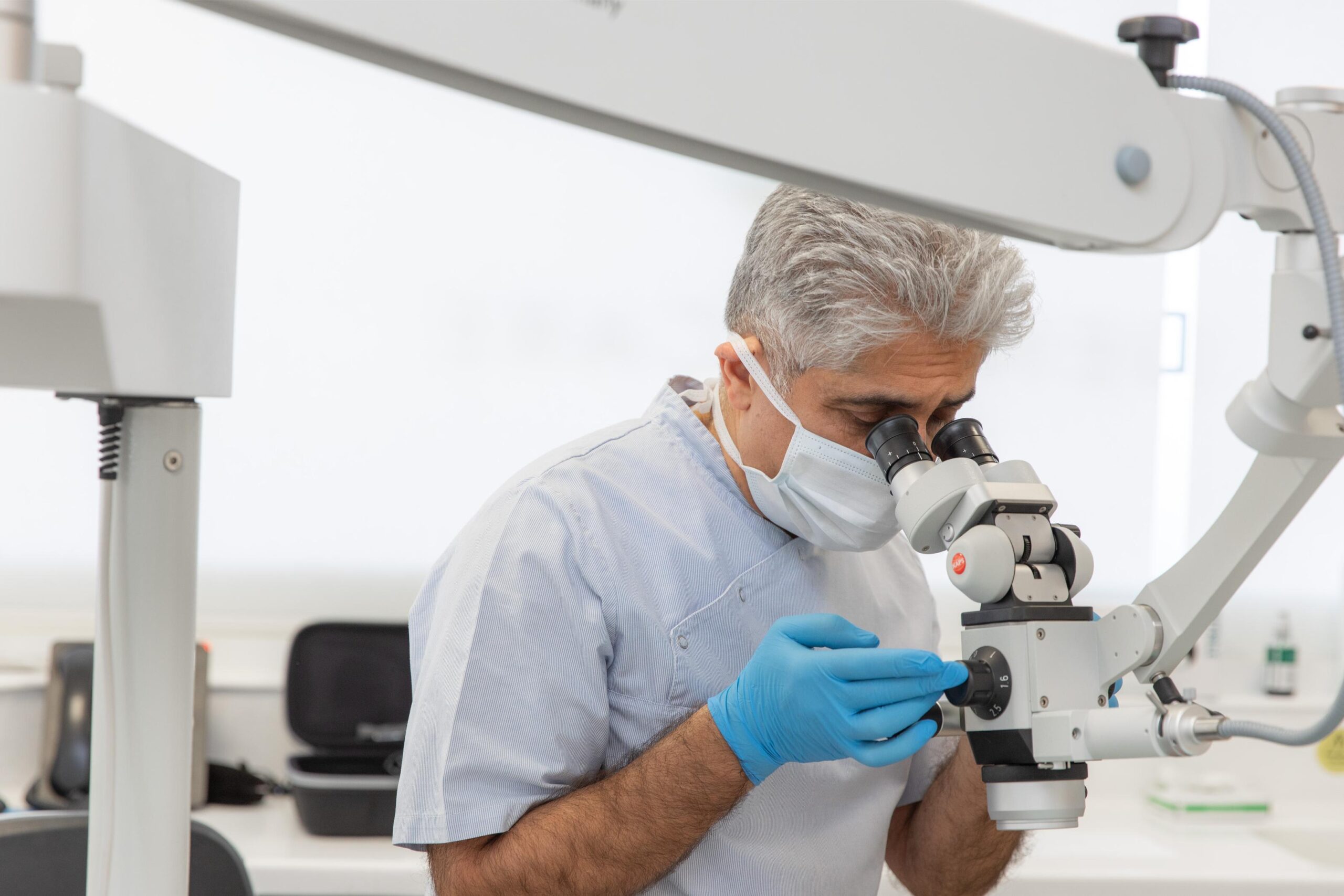 image that sits between the text above and below