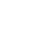 small w5 logo